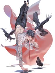 Rule 34 | 1boy, balancing, bird, black hair, black pants, claude fermat, cloth, crow, hand to own mouth, handstand, highres, jewelry, knife, leenim, looking at viewer, lord of dice, male focus, official art, one arm handstand, open clothes, open shirt, pants, red eyes, ribbon, ring, solo, sweat, transparent background, wet, wet clothes