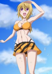 Rule 34 | 10s, bikini, blonde hair, breasts, charlotte dunois, cleavage, highres, igatto, infinite stratos, large breasts, navel, sarong, swimsuit, water
