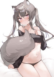 Rule 34 | 1girl, absurdres, animal ear fluff, animal ears, bare shoulders, black panties, blush, cat ears, commentary request, cowboy shot, crop top, grey hair, highres, long hair, long sleeves, looking at viewer, navel, original, panties, parted lips, pink eyes, shin no tenpii, sidelocks, sitting, solo, stomach, tail, twintails, underwear, white background