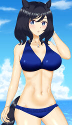 1girl absurdres animal_ears bikini black_hair blue_bikini blue_eyes blue_sky blurry blurry_background blush breasts cleavage collarbone commentary_request day eishin_flash_(reines_plaetschern)_(umamusume) eishin_flash_(umamusume) frilled_bikini frills hair_between_eyes hair_ornament highres horse_ears horse_girl horse_tail jewelry kshr_(stwdg115) large_breasts navel necklace no_jacket official_alternate_costume outdoors parted_lips short_hair sky solo stomach swimsuit tail umamusume