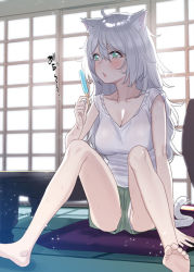 Rule 34 | 1girl, animal ear fluff, animal ears, barefoot, blush, breasts, cat ears, cat girl, cat tail, cleavage, collarbone, commentary request, food, green eyes, green shorts, hair between eyes, holding, holding food, indoors, knees up, long hair, medium breasts, original, panties, parted lips, popsicle, shirt, short shorts, shorts, silver hair, sitting, sleeveless, sleeveless shirt, sliding doors, soles, solo, subachi, sweat, table, tail, underwear, upshorts, very long hair, white panties, white shirt