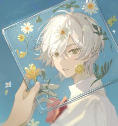 Rule 34 | 270 (woshizongg), absurdres, blue background, chinese commentary, colored eyelashes, commentary request, flower, green eyes, highres, neck ribbon, original, parted lips, portrait, red ribbon, ribbon, shirt, short hair, solo focus, white flower, white hair, yellow flower