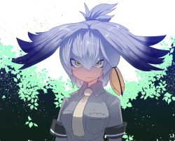 Rule 34 | 10s, 1girl, bird wings, black gloves, black hair, bodystocking, breast pocket, breasts, closed mouth, collared shirt, commentary request, dress shirt, expressionless, feathered wings, gloves, green eyes, grey shirt, hair between eyes, hair ornament, hair tie, head wings, kemono friends, long hair, looking at viewer, low ponytail, medium breasts, multicolored hair, necktie, orange hair, outdoors, pocket, serious, shirt, shoebill (kemono friends), short sleeves, side ponytail, silver hair, sleeve cuffs, solo, sumiyao (amam), tsurime, two-tone hair, upper body, white necktie, wing collar, wings