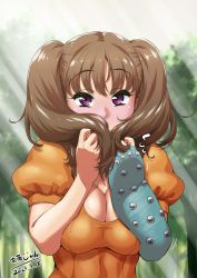 Rule 34 | 1girl, blue gloves, blurry, blurry background, breasts, brown hair, cleavage, commentary request, covering own mouth, dated, diane (nanatsu no taizai), elbow gloves, fingerless gloves, gloves, highres, katou jun, light rays, long hair, looking at viewer, nanatsu no taizai, puffy sleeves, purple eyes, short sleeves, single glove, solo, studded gloves, sunbeam, sunlight, translation request, twintails, upper body