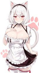 Rule 34 | 1girl, absurdres, anchor choker, animal ears, apron, azur lane, basil (st 1), blush, breasts, cat ears, cat tail, cleavage, closed mouth, clothes lift, collarbone, dress, dress lift, fang, fang out, hair between eyes, hairband, highres, lace-trimmed hairband, lace trim, large breasts, lifting own clothes, looking at viewer, maid, maid apron, paw print, puffy sleeves, red eyes, short hair, short sleeves, sidelocks, simple background, sirius (azur lane), solo, standing, tail, thighhighs, waist apron, white apron, white background, white hair, white thighhighs