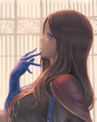 Rule 34 | 1girl, blue eyes, blue gloves, breasts, brown hair, capelet, fate/grand order, fate (series), gloves, hand on own face, highres, large breasts, leonardo da vinci (fate), long hair, looking at viewer, looking to the side, ranma (kamenrideroz), solo, upper body, wavy hair