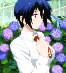 Rule 34 | 1girl, blue hair, blush, breasts, embarrassed, flower, hair ribbon, hand on own chest, highres, looking away, necktie, nisekoi, outdoors, ribbon, school uniform, screencap, short hair, solo, stitched, third-party edit, tsugumi seishirou