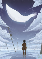 Rule 34 | 1girl, boots, brown coat, brown footwear, brown hair, closed umbrella, cloud, coat, flying whale, from behind, grass, makino (katasumi), original, outdoors, portal (object), power lines, sky, solo, star (sky), umbrella, water, whale