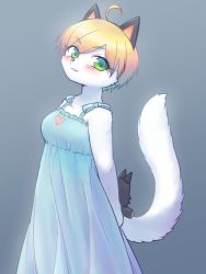 Rule 34 | 1girl, blonde hair, blue eyes, cat, character request, furry, furry female, paperman, stuffed toy, short hair, solo, yamane512