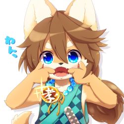 Rule 34 | 1boy, animal ears, blue eyes, body fur, brown hair, child, dog ears, dog tail, fullbokko heroes, furry, furry male, hair between eyes, highres, hithop, inuzuka shino (fullbokko heroes), japanese clothes, jewelry, long hair, looking at viewer, low-tied long hair, male focus, mouth pull, necklace, open mouth, saliva, simple background, sleeveless, solo, sword, tail, tongue, uvula, weapon, white background