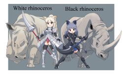 Rule 34 | 2girls, animal, animal ears, armor, black eyes, black hair, black rhinoceros (kemono friends), boots, extra ears, gloves, grey background, grey hair, highres, holding, holding polearm, holding weapon, kemono friends, kemono friends 3, leotard, long hair, looking at viewer, multiple girls, outside border, polearm, rhinoceros, rhinoceros ears, rhinoceros girl, simple background, skirt, tail, thighhighs, weapon, white rhinoceros (kemono friends), yamaguchi yoshimi