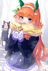 Rule 34 | 2girls, animal ears, anniversary, baozi, black pantyhose, blank eyes, blue coat, blue eyes, blue footwear, blue jacket, blunt bangs, blunt ends, blush, brown hair, can, closed mouth, coat, covered mouth, e-co, ear covers, eating, enpera, food, hair ornament, hairband, highres, holding, holding can, horse ears, horse girl, horse tail, jacket, long hair, long sleeves, mittens, multicolored hair, multiple girls, orange hair, pantyhose, pleated skirt, purple scarf, purple skirt, scarf, scarf over mouth, school uniform, shoes, silence suzuka (umamusume), skirt, smile, special week (umamusume), streaked hair, tail, tracen school uniform, umamusume, upper body, white hair, white hairband, white mittens, yellow scarf