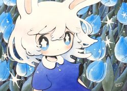 Rule 34 | 1girl, animal ears, artist name, blue dress, blue eyes, blue flower, blue tulip, blush, bright pupils, buttons, closed mouth, commentary request, dated, dated commentary, dress, floral background, flower, highres, looking at viewer, medium hair, no nose, original, rabbit ears, short sleeves, solo, sparkle, star-shaped pupils, star (symbol), symbol-shaped pupils, traditional media, tulip, upper body, white hair, white pupils, wind, zukky000