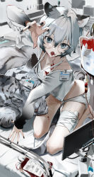 Rule 34 | 1girl, absurdres, animal ears, bad id, bad pixiv id, bandaged leg, bandages, black nails, blood, blood bag, blood from mouth, blurry, blurry background, blurry foreground, commentary request, fang, fingernails, full body, furry, glasses, grey eyes, grey hair, hair between eyes, hair intakes, highres, hospital, id card, keki chogyegi, kneeling, korean commentary, lanyard, looking at viewer, nail polish, open mouth, original, paw pose, short hair, spaghetti strap, tiger, tiger ears
