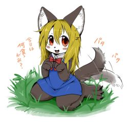 Rule 34 | 1girl, :3, :d, akuma gaoru, animal ears, animal nose, black fur, blonde hair, blue dress, blush stickers, body fur, bow, claws, commentary request, cowlick, dress, furry, furry female, futaba channel, grass, long hair, looking at viewer, nekonohige, open mouth, red bow, red eyes, sitting, smile, solo, tail, tail wagging, translation request, two-tone fur, white background, white fur