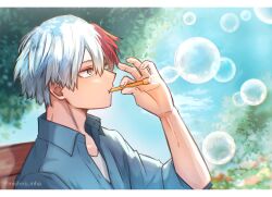 Rule 34 | 1boy, blowing bubbles, blue shirt, blue sky, boku no hero academia, collared shirt, expressionless, flower, grey eyes, heterochromia, highres, leaf, letterboxed, male focus, michiru mha, multicolored hair, outdoors, shirt, sky, solo, todoroki shouto, tree, tree shade, twitter username, two-tone hair, upper body