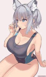 Rule 34 | 1girl, adjusting hair, animal ear fluff, animal ears, aqua eyes, arm support, blue archive, breasts, cat ears, cleavage, competition swimsuit, grey hair, highres, kanachirou, large breasts, looking away, one-piece swimsuit, ponytail, shiroko (blue archive), shiroko (swimsuit) (blue archive), simple background, sitting, slit pupils, solo, swimsuit, thick thighs, thighs, twitter username, white background