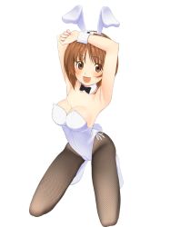 Rule 34 | 10s, 1girl, animal ears, armpits, arms up, bow, bowtie, breasts, brown eyes, brown hair, cleavage, denkaisui, detached collar, fake animal ears, fishnet pantyhose, fishnets, girls und panzer, highres, kneeling, large breasts, leotard, nishizumi miho, open mouth, pantyhose, playboy bunny, rabbit ears, rabbit tail, short hair, solo, tail, wrist cuffs