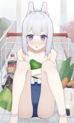 Rule 34 | 1girl, absurdres, animal ears, ankleband, bare shoulders, blue archive, blue one-piece swimsuit, blush, cabbage, commentary request, covered navel, fake animal ears, food, frilled one-piece swimsuit, frills, gmi (jimmyovob), grey hair, highres, in shopping cart, indoors, long hair, looking at viewer, miyako (blue archive), miyako (swimsuit) (blue archive), hugging object, off-shoulder one-piece swimsuit, off shoulder, official alternate costume, one-piece swimsuit, open mouth, ponytail, purple eyes, shopping cart, sidelocks, sitting, solo, straight-on, swimsuit, two-tone one-piece swimsuit, vegetable