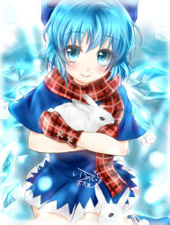 Rule 34 | 1girl, absurdres, animal, artist name, blue eyes, blue hair, bow, rabbit, capelet, cirno, dress, hair bow, highres, holding, holding animal, ice, ice wings, ichinose aki, looking at viewer, mittens, pom pom (clothes), scarf, short hair, signature, smile, solo, touhou, wings