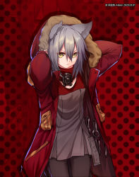 Rule 34 | 1girl, alalen, animal ears, arknights, artist name, black pantyhose, blouse, breasts, concealed weapon, cowboy shot, dated, fur-trimmed hood, fur trim, grey hair, grey shirt, hair between eyes, hands up, hood, hood up, hooded jacket, jacket, knife, long hair, long sleeves, looking at viewer, mask, mask around neck, open clothes, open jacket, pantyhose, pouch, projekt red (arknights), red background, red jacket, red shirt, shirt, small breasts, solo, two-tone shirt, v-shaped eyebrows, watermark, wolf ears, yellow eyes, zoom layer