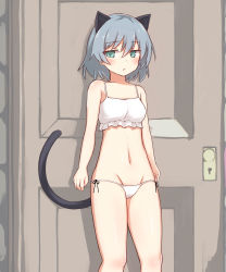 Rule 34 | 1girl, animal ears, blush, bra, breasts, caraku, cat ears, cat tail, green eyes, grey hair, highres, navel, panties, sanya v. litvyak, short hair, side-tie panties, small breasts, solo, strike witches, tail, underwear, underwear only, white bra, white panties, world witches series