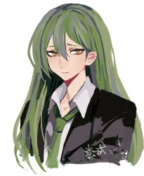Rule 34 | 1boy, black jacket, closed mouth, collared shirt, commentary request, er hea, eyebrow cut, green hair, green necktie, hair between eyes, jacket, lobotomy corporation, long hair, looking at viewer, male focus, necktie, netzach (project moon), open collar, portrait, project moon, shirt, simple background, solo, translation request, white background, white shirt