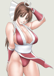 Rule 34 | 1girl, breasts, brown hair, curvy, fatal fury, fumi, highleg, kiso fumihiro, large breasts, pelvic curtain, revealing clothes, shiranui mai, snk, solo, the king of fighters, thick thighs, thighs
