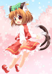 Rule 34 | 1girl, :3, animal ears, brown eyes, brown hair, cat ears, cat tail, chen, cherry blossoms, earrings, fang, hat, jewelry, looking back, multiple tails, pila-pela, solo, tail, touhou