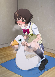 Rule 34 | 1girl, animal, bird, black footwear, black socks, blue panties, blue shirt, blue skirt, blush, bow, bowtie, breasts, breath, brown eyes, brown hair, censored, character request, duck, highres, looking down, mosaic censoring, open mouth, panties, panties around one ankle, peeing, potty, pussy, red bow, red bowtie, school uniform, shikuchin, shirt, shoes, short hair, short sleeves, skirt, small breasts, socks, sparkle, splashing, squatting, steam, sweat, sweater vest, teeth, towel, underwear, wooden floor, yellow sweater vest