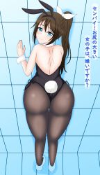 Rule 34 | 1girl, absurdres, animal ears, aqua eyes, aqua footwear, artist name, artist request, bare shoulders, black leotard, blue eyes, blush, bow, breasts, brown hair, brown pantyhose, commentary request, female focus, from behind, full body, hair between eyes, half updo, high heels, high ponytail, highres, indoors, leotard, long hair, looking at viewer, looking back, love live!, love live! nijigasaki high school idol club, osaka shizuku, pantyhose, parted lips, playboy bunny, ponytail, rabbit ears, rabbit tail, side-tie leotard, smile, solo, standing, translated, translation request, white bow, white wrist cuffs, wing collar, wrist cuffs
