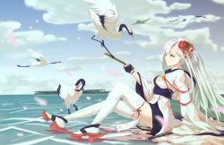 Rule 34 | 1girl, absurdres, artist request, azur lane, bird, blue eyes, breasts, closed mouth, crane (animal), day, from side, gloves, hair ornament, highres, japanese clothes, kimono, long hair, long sleeves, medium breasts, mole, mole under eye, ocean, partially fingerless gloves, profile, ribbon-trimmed legwear, ribbon trim, shoukaku (azur lane), silver hair, sitting, solo, thighhighs, white thighhighs, wide sleeves
