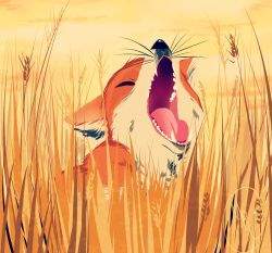 Rule 34 | animal, closed eyes, fangs, fox, highres, mad ryouko, nature, no humans, open mouth, orange sky, original, outdoors, sitting, sky, wheat, whiskers, yawning