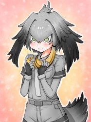 Rule 34 | 10s, 1girl, belt, bird tail, black gloves, blonde hair, blush, bodystocking, breast pocket, fingerless gloves, gloves, green eyes, grey hair, grey shirt, grey shorts, hair between eyes, twirling hair, hands up, head wings, highres, kemono friends, looking down, low ponytail, multicolored hair, necktie, outline, playing with own hair, pocket, shirt, shizuraku, shoebill (kemono friends), short sleeves, shorts, side ponytail, smile, solo, tail, twitter username, white outline, wings