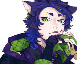 Rule 34 | 1boy, animal ear fluff, animal ears, blue eyes, blue hair, blue jacket, cat boy, cat ears, closed mouth, ear piercing, eyebrow piercing, fang, fingernails, gloves, gradient hair, green eyes, green gloves, hand up, high collar, highres, jacket, jewelry, licking lips, long hair, looking at viewer, male focus, multicolored eyes, multicolored hair, notched ear, original, partially fingerless gloves, piercing, purple hair, ring, sharp fingernails, short eyebrows, simple background, skin fang, slit pupils, solo, tongue, tongue out, upper body, white background, zzb azz