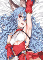 Rule 34 | 1girl, animal ears, arm up, armpits, asanagi, bare shoulders, belt, blue hair, blush, breasts, brown eyes, commentary request, earrings, erune, fangs, ferry (granblue fantasy), ferry (santa minidress) (granblue fantasy), gloves, granblue fantasy, highres, jewelry, long hair, looking at viewer, lying, messy hair, on back, open mouth, sideboob, sidelocks, skindentation, small breasts, solo, wavy hair, yellow eyes