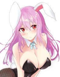 Rule 34 | 1girl, animal ears, atory, black leotard, blush, breasts, cleavage, closed mouth, commentary, detached collar, fishnet pantyhose, fishnets, large breasts, leotard, long hair, pantyhose, playboy bunny, purple hair, rabbit ears, rabbit girl, rabbit tail, red eyes, reisen udongein inaba, simple background, solo, symbol-only commentary, tail, touhou, upper body, white background