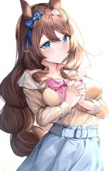 Rule 34 | 1girl, animal ears, blue bow, blue eyes, blue skirt, blush, bow, braid, breasts, brown hair, brown shirt, closed mouth, collarbone, commentary request, ear bow, hair between eyes, highres, horse ears, interlocked fingers, long hair, medium breasts, own hands together, pink bow, shiero., shirt, simple background, single braid, skirt, smile, solo, super creek (umamusume), umamusume, very long hair, white background