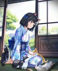 Rule 34 | 1girl, animal, animal ears, barefoot, black hair, blue bow, blue kimono, blush, bow, breasts, brown eyes, cat, cat ears, cat girl, cat tail, closed mouth, day, floral print, full body, hair bow, highres, indoors, japanese clothes, kimono, long sleeves, looking down, obi, on floor, one side up, original, popuru, sash, seiza, short hair, sitting, small breasts, smile, solo, sunlight, tail, tatami, tree, wide sleeves
