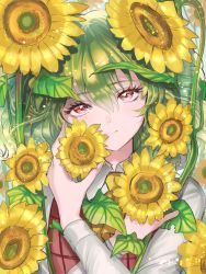 Rule 34 | 1girl, ascot, commentary request, eyelashes, flower, green hair, hair between eyes, hand up, head tilt, highres, holding, holding flower, kazami yuuka, leaf, long sleeves, looking at viewer, plaid, plaid vest, red eyes, red vest, rosette (roze-ko), shirt, short hair, smile, solo, sunflower, touhou, upper body, vest, white shirt, yellow ascot