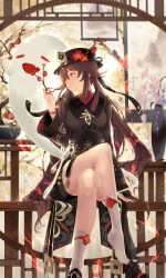 Rule 34 | 1girl, absurdres, black coat, black hat, black shorts, blush, breasts, brown hair, coat, coattails, crossed legs, flower, genshin impact, ghost, hat, hat flower, highres, hu tao (genshin impact), kneehighs, legs, long hair, long sleeves, looking to the side, name1122, plum blossoms, red eyes, shorts, sitting, small breasts, smile, socks, solo, symbol-shaped pupils, twintails, very long hair, white socks