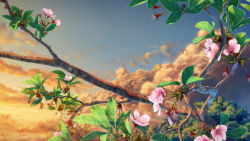 Rule 34 | 3d, blue sky, branch, cherry blossoms, close-up, cloud, cloudy sky, day, leaf, no humans, original, outdoors, scenery, sky, still life, sunrise, tree, yuu knmy