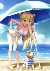 Rule 34 | 1girl, :d, absurdres, alice third macy, animal, bare legs, barefoot, beach, beach umbrella, bent over, bikini, blonde hair, blue eyes, blush, breasts, cleavage, clothed animal, collarbone, cropped, day, dog, feet, front-tie top, full body, halterneck, hand on own hip, highres, kantoku, koi suru kanojo no bukiyou na butai, lens flare, long hair, looking at viewer, medium breasts, navel, open mouth, outdoors, pigeon-toed, scan, side-tie bikini bottom, smile, solo, string bikini, striped bikini, striped clothes, swimsuit, toes, two side up, umbrella, very long hair