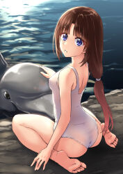 Rule 34 | 1girl, abo (hechouchou), after war gundam x, ass, breasts, brown hair, dolphin, feet, from behind, full body, gundam, long hair, looking at viewer, looking back, ocean, one-piece swimsuit, parted lips, purple eyes, sitting, small breasts, solo, swimsuit, tiffa adill, toes, water, white one-piece swimsuit