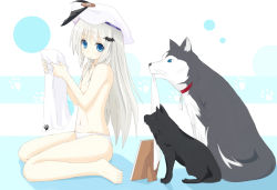 Rule 34 | 1girl, animal, barefoot, beret, blue eyes, buttons, dog, flat chest, hair ornament, hairclip, hat, kitsune (artist), kitsune (scaz), large buttons, little busters!, long hair, noumi kudryavka, panties, silver hair, solo, strelka, topless, underwear, white panties