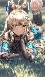 Rule 34 | 1girl, animal ears, bare shoulders, blonde hair, blush, bridal gauntlets, closed mouth, fang, fang out, feet up, genshin impact, grass, green eyes, hair ornament, head rest, highres, kirara (genshin impact), long hair, looking at viewer, lying, on stomach, outdoors, silence girl, smile, solo, the pose