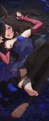 Rule 34 | 1girl, absurdres, animal ears, armpits, bafangyu, bare shoulders, black thighhighs, blue dress, blue flower, blue rose, breasts, brown hair, commentary, convenient leg, detached sleeves, dress, english commentary, eyelashes, feet, floral background, flower, fur collar, garter straps, hair over one eye, highres, horse ears, horse girl, horse tail, legs, looking at viewer, no shoes, open mouth, parted bangs, purple eyes, red sleeves, rice shower (umamusume), rose, short dress, sidelocks, small breasts, soles, solo, stirrup legwear, swept bangs, tail, thighhighs, thighs, toeless legwear, toenails, tongue, tongue out, umamusume