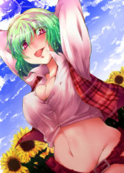 Rule 34 | 1girl, akira aoi, arms behind head, arms up, belt, blue sky, bottomless, breasts, censored, cleavage, convenient censoring, day, dress shirt, female focus, flower, green hair, groin, kazami yuuka, kusaka eiki, large breasts, navel, open clothes, open vest, plaid, red eyes, shirt, short hair, sky, solo, sunflower, sweat, tongue, tongue out, touhou, vest