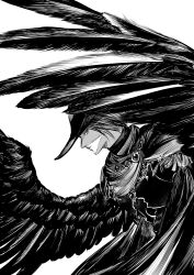 Rule 34 | 1boy, absurdres, armor, brooch, check copyright, cloak, copyright request, feathered wings, from side, greyscale, hat, highres, jewelry, korean commentary, looking at viewer, male focus, monochrome, original, profile, short hair, sia 2dductility, sideways glance, simple background, solo, spread wings, wings