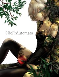 Rule 34 | 1girl, alternate hair length, alternate hairstyle, android, apple, arm at side, armlet, bad id, bad pixiv id, bare shoulders, black gloves, black shorts, black thighhighs, branch, breasts, camisole, cleavage, closed mouth, collarbone, copyright name, cowboy shot, elbow gloves, food, fruit, garter straps, gloves, green eyes, hair between eyes, highres, holding, holding food, holding fruit, joints, knee up, leaf, light smile, lips, long hair, mole, mole under mouth, nier:automata, nier (series), plant, robot joints, short hair, short shorts, shorts, silver hair, sitting, sleeveless, small breasts, solo, tamari, tank top, thighhighs, a2 (nier:automata)